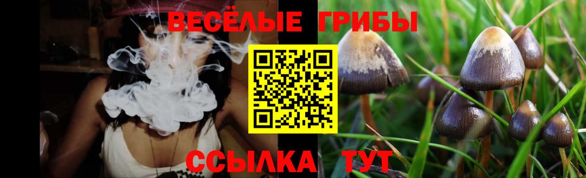 Псилоцибиновые грибы мухоморы  Вход с VPN  Балашов 